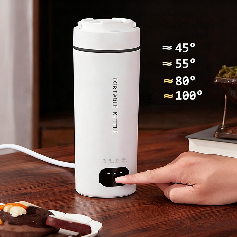 4 6 передач, вилка европейског – обзор и цена Electric Kettle Temperature Control